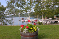 Newbury, NH - Flowers and Boats